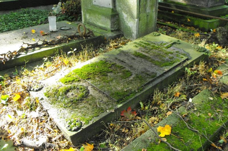Zdjęcie grobu Rozalia Klukiewicz (2)