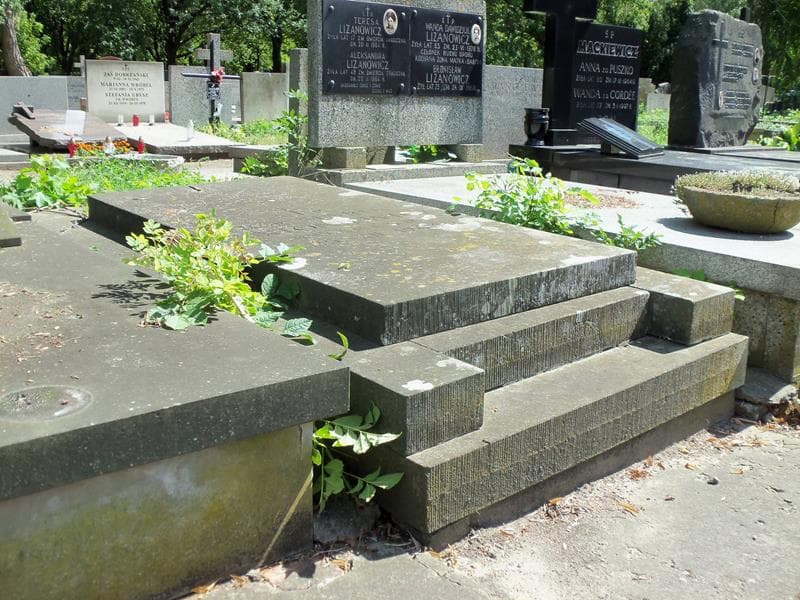 Zdjęcie grobu Maria Antoniewicz (1)