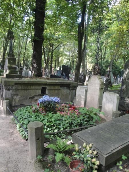 Zdjęcie grobu Feliks Chmiel (1)