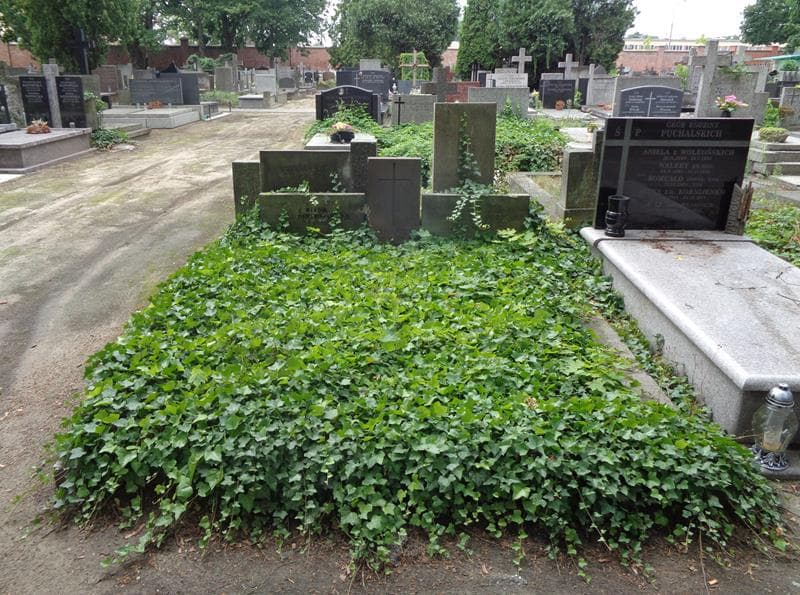 Zdjęcie grobu Zofia Piestrzyńska (1)
