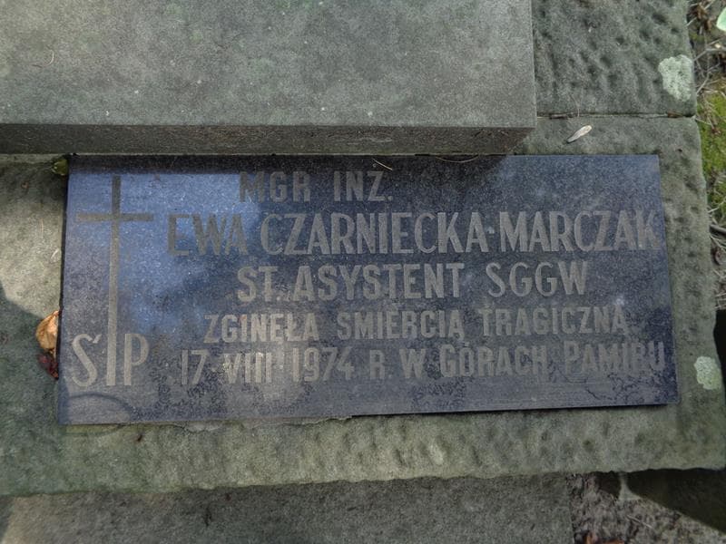 Zdjęcie grobu Antoni Czarniecki (1)