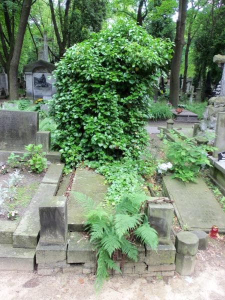 Zdjęcie grobu: Kazimierz Listopad