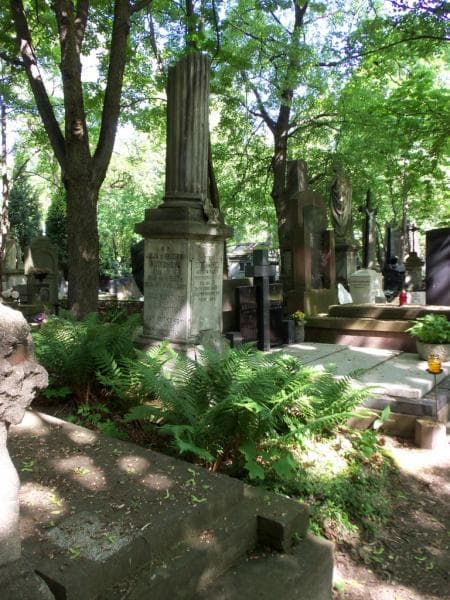 Zdjęcie grobu Antoni Rutkowski (1)