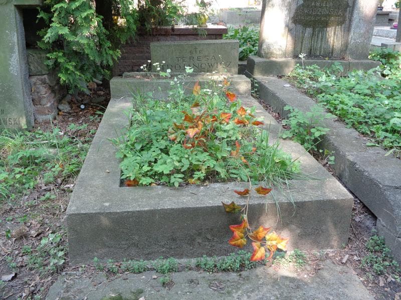 Zdjęcie grobu Teresa Trojanowicz (1)