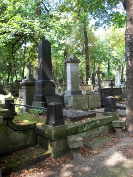 Zdjęcie grobu Władysław Kwietniewski (1)