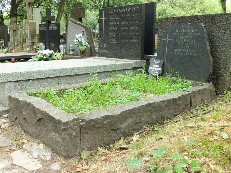 Zdjęcie grobu Stefania Brzezicka (1)