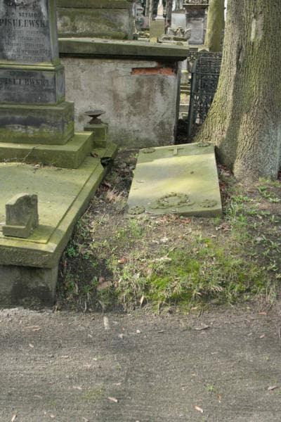 Zdjęcie grobu: Franciszek Rubinkowski