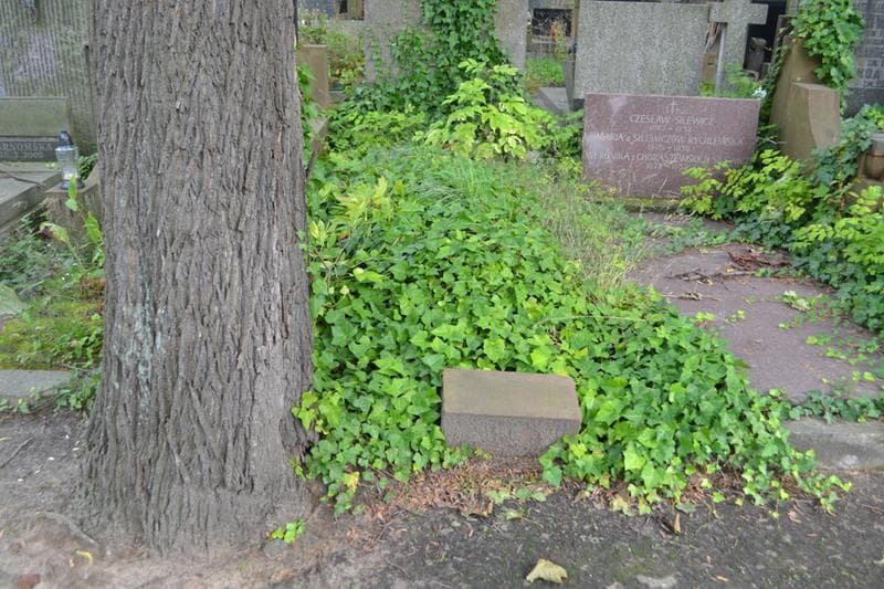 Zdjęcie grobu Pole Grobowe (1)