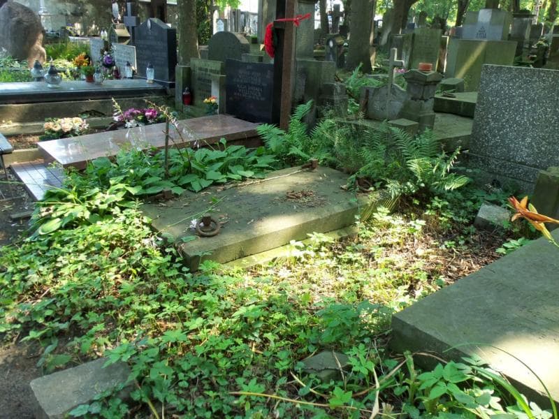 Zdjęcie grobu Irena Lorenss (1)