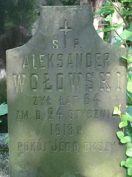 Zdjęcie grobu Aleksander Wołowski (2)