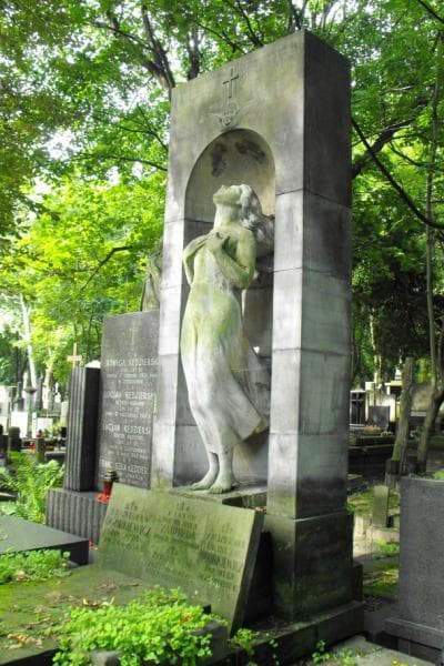 Zdjęcie grobu Stanisław Ogórkiewicz (2)