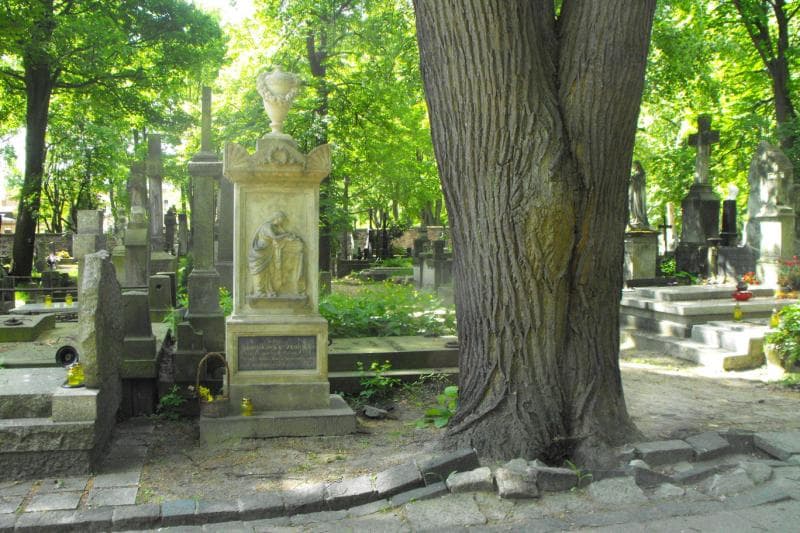 Zdjęcie grobu: Bronisława Kozłowska