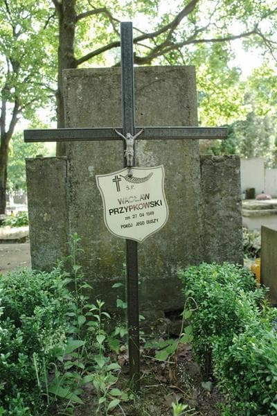 Zdjęcie grobu Wacław Przypkowski (2)