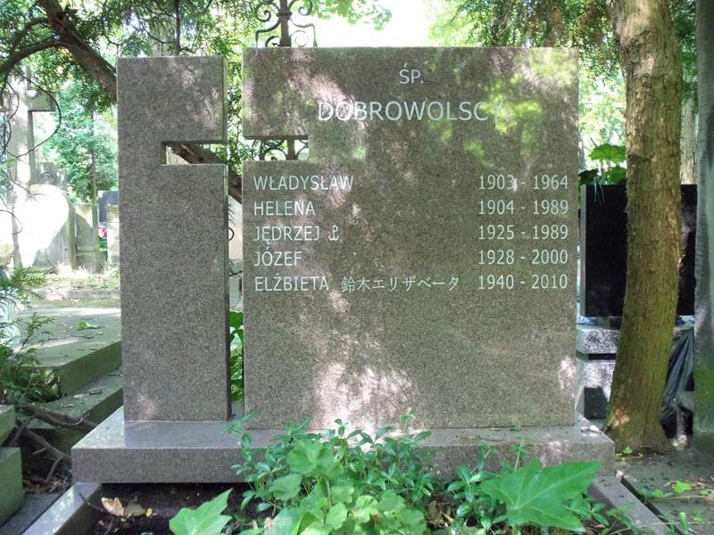 Zdjęcie grobu Władysław Dobrowolski (2)