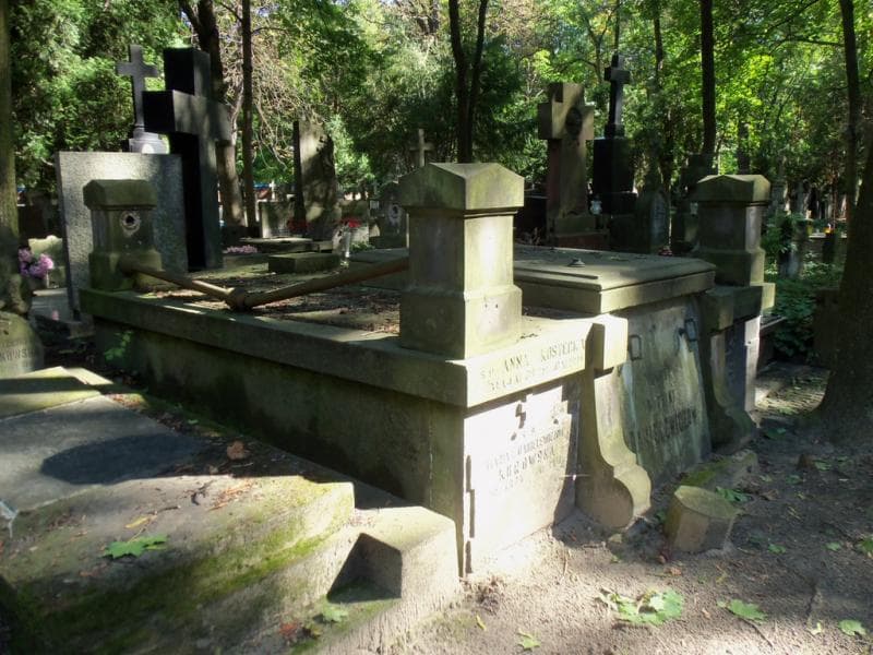 Zdjęcie grobu Bronisław Danielewicz (1)