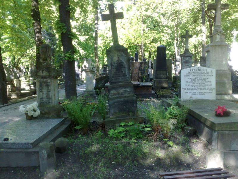 Zdjęcie grobu: Tekla Majewska