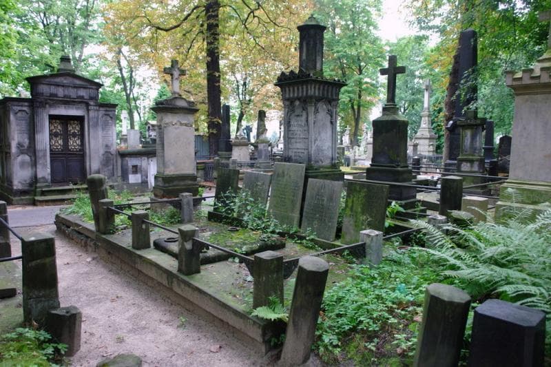 Zdjęcie grobu: Zofja Żylińska