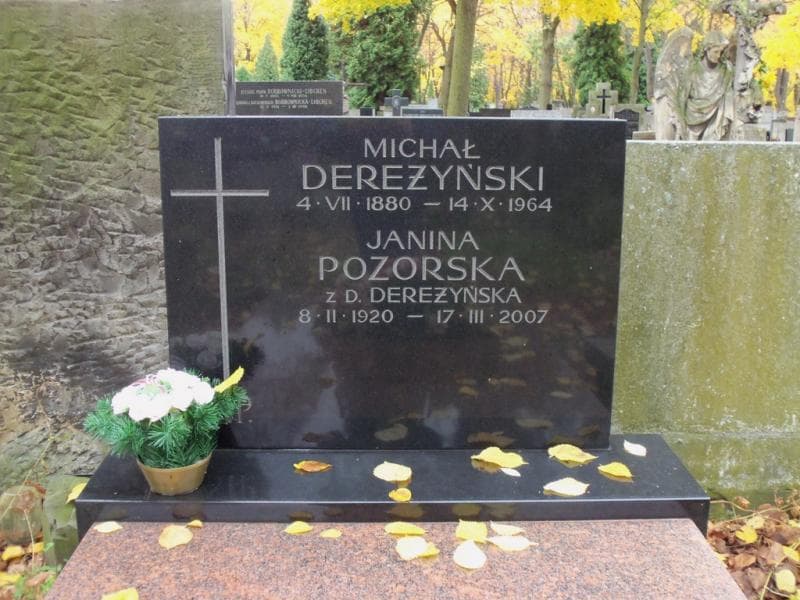 Zdjęcie grobu Michał Dereżyński (2)