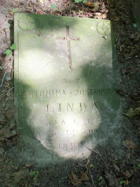 Zdjęcie grobu Antonina Linda (1)
