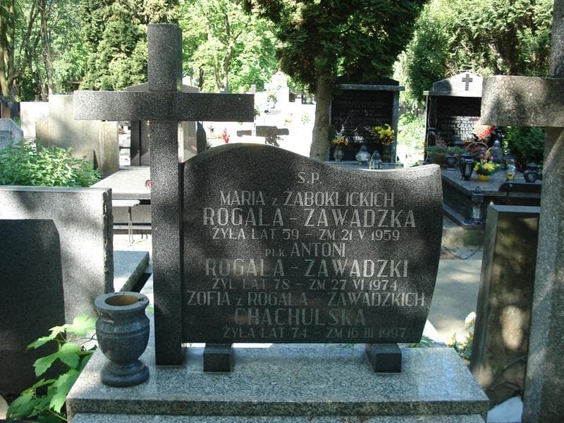 Zdjęcie grobu Zofia Chachulska (2)