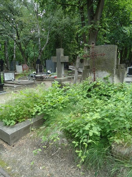 Zdjęcie grobu Ferdynand Cerfass (1)