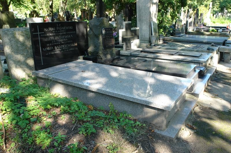Zdjęcie grobu Antoni Paśniewski (1)