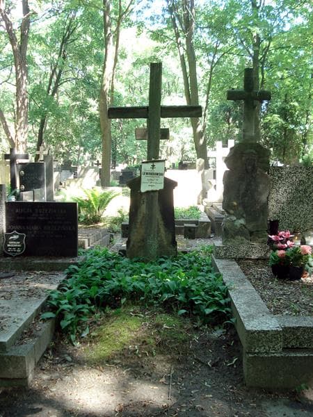 Zdjęcie grobu: Tadeusz Lewandowski