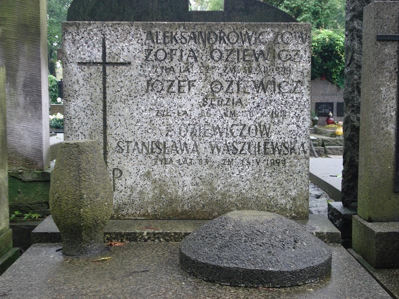 Zdjęcie grobu Stanisława Waszulewska (2)