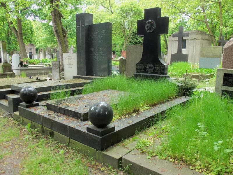 Zdjęcie grobu Hanna Lubert (1)