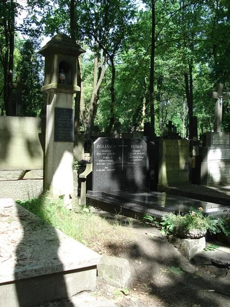 Zdjęcie grobu Wanda Janicka (1)