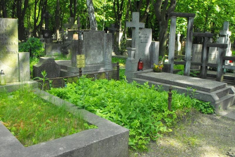 Zdjęcie grobu Władziunia Uzarowicz (1)
