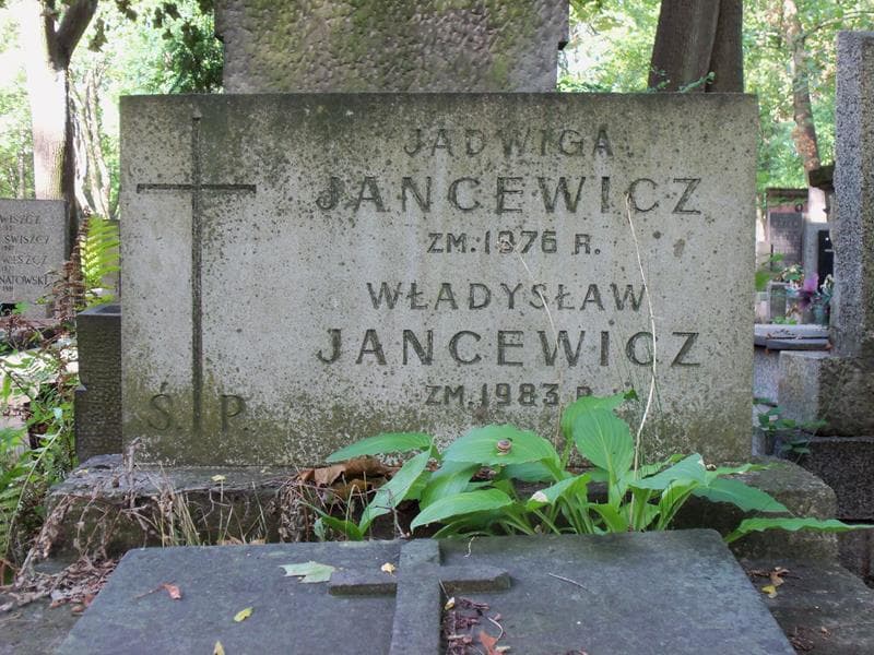 Zdjęcie grobu Władysław Jancewicz (2)