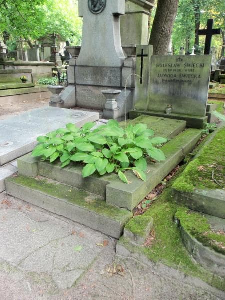 Zdjęcie grobu Jan Władysław Leszczyc-Święcki (1)