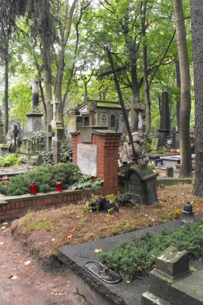 Zdjęcie grobu Olszewscy (1)