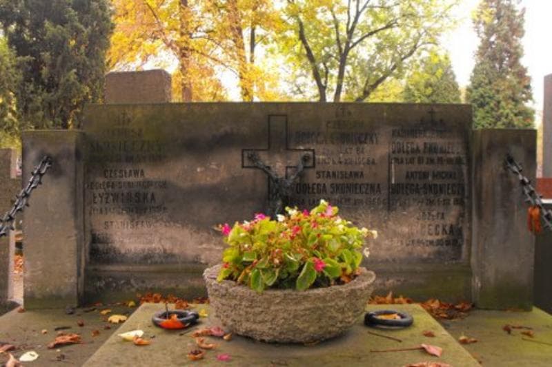Zdjęcie grobu Stanisław Dołęga - Skonieczny (2)