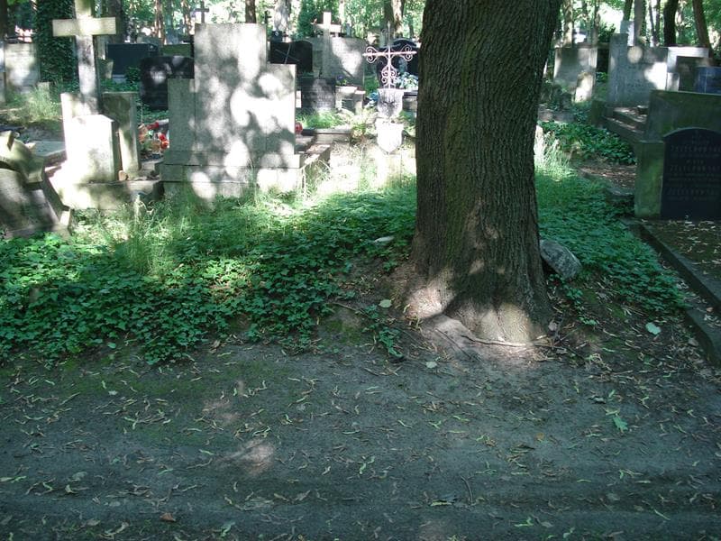 Zdjęcie grobu: Pole Grobowe