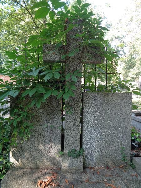 Zdjęcie grobu Stanisław Nowak (2)