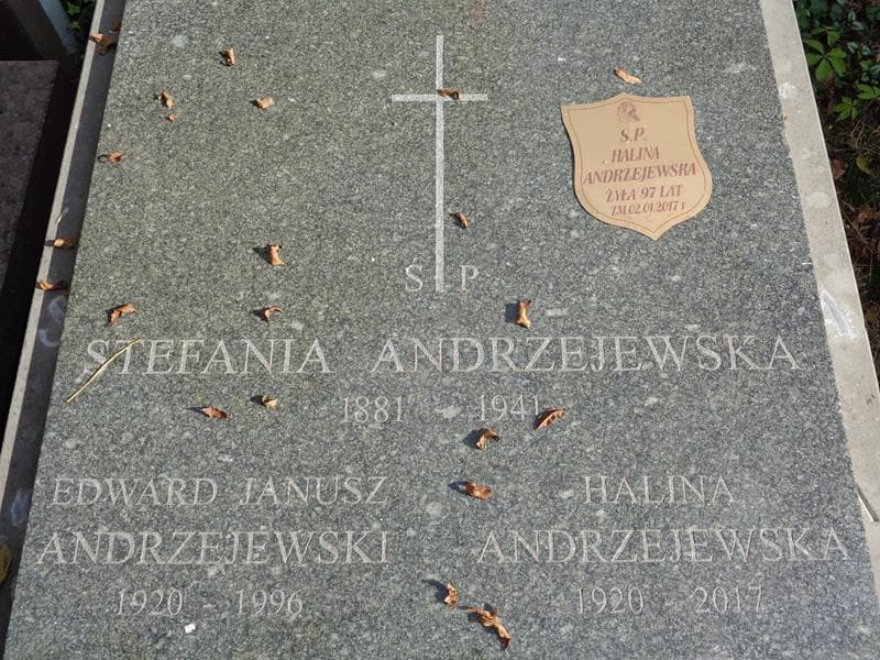 Zdjęcie grobu Edward Janusz Andrzejewski (2)