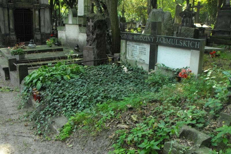 Zdjęcie grobu Anna Jarmulska (1)