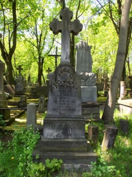 Zdjęcie grobu Karolina Joteyko (2)