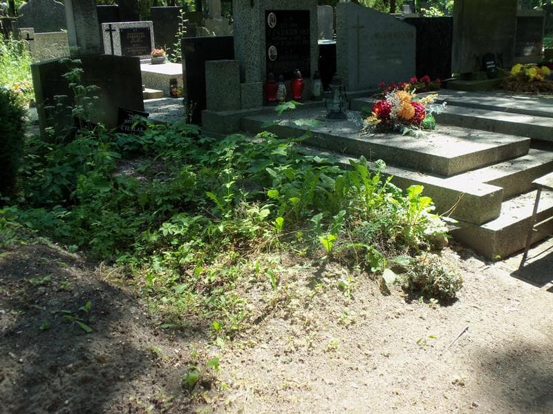 Zdjęcie grobu Petronela Stępkowska (1)