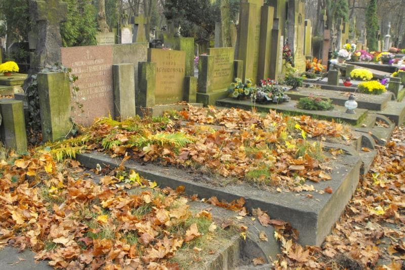 Zdjęcie grobu Romanja Von Frankenstein (1)