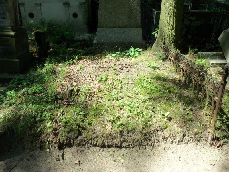Zdjęcie grobu: Pole Grobowe