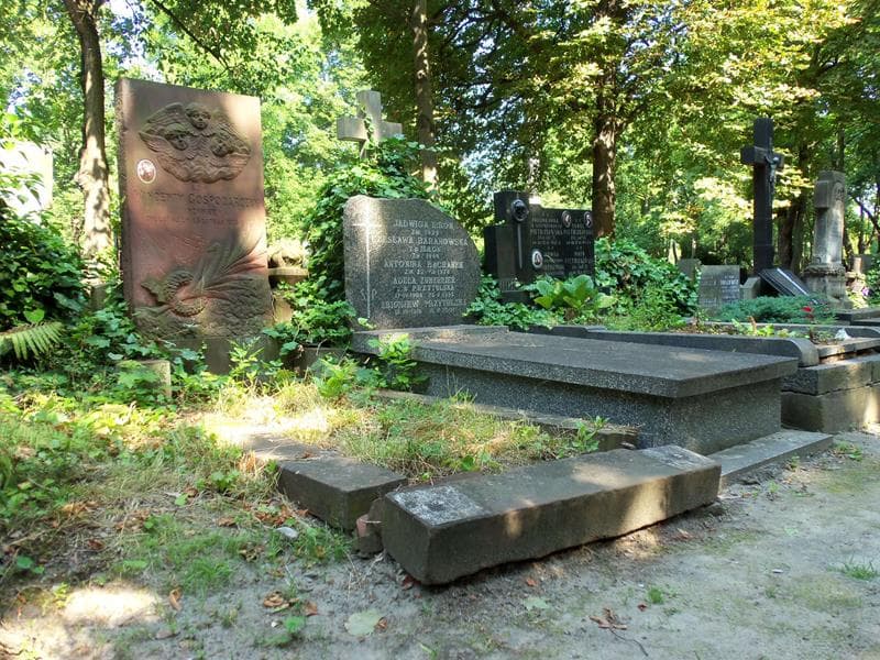Zdjęcie grobu Wincenty Gospodarczyk (1)