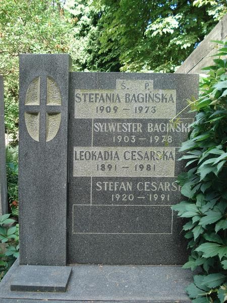 Zdjęcie grobu Sylwester Bagiński (2)