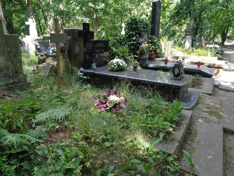 Zdjęcie grobu: Janina Pecyna  Sielewicz