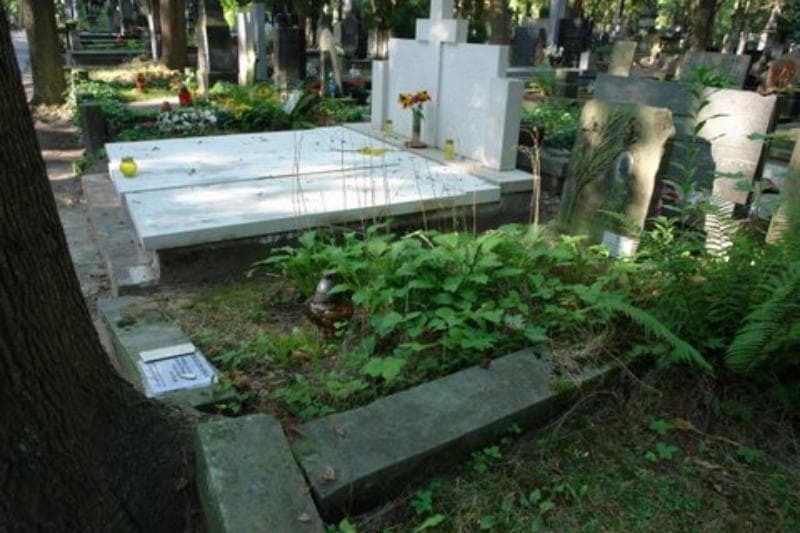 Zdjęcie grobu Januszek Polkowski (1)