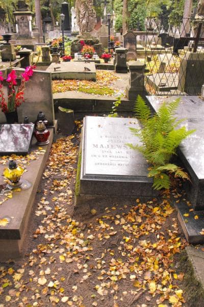 Zdjęcie grobu: Józefa Majewska