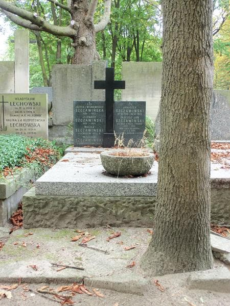 Zdjęcie grobu: Januszek Szczawiński