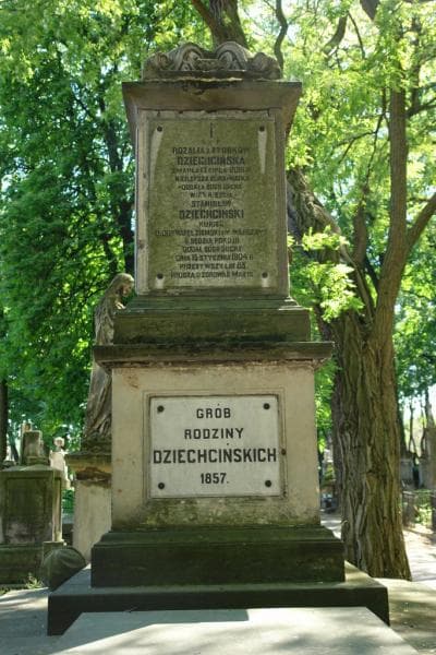 Zdjęcie grobu Stanisław Dziechciński (2)